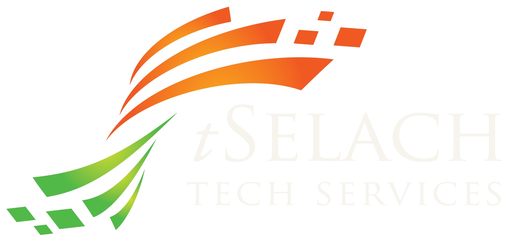 tSelach Tech Services